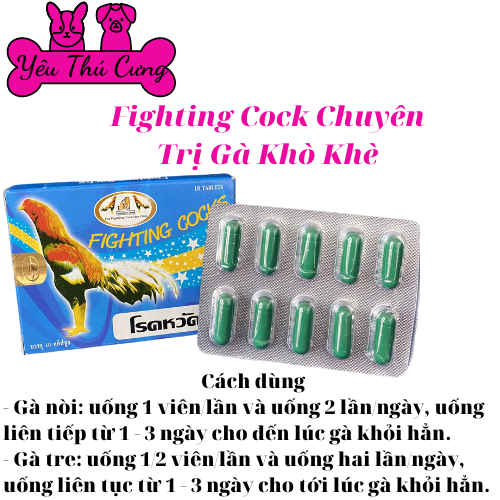 Fighting Cock trị khò khè cho gà đá-YÊU THÚ CƯNG