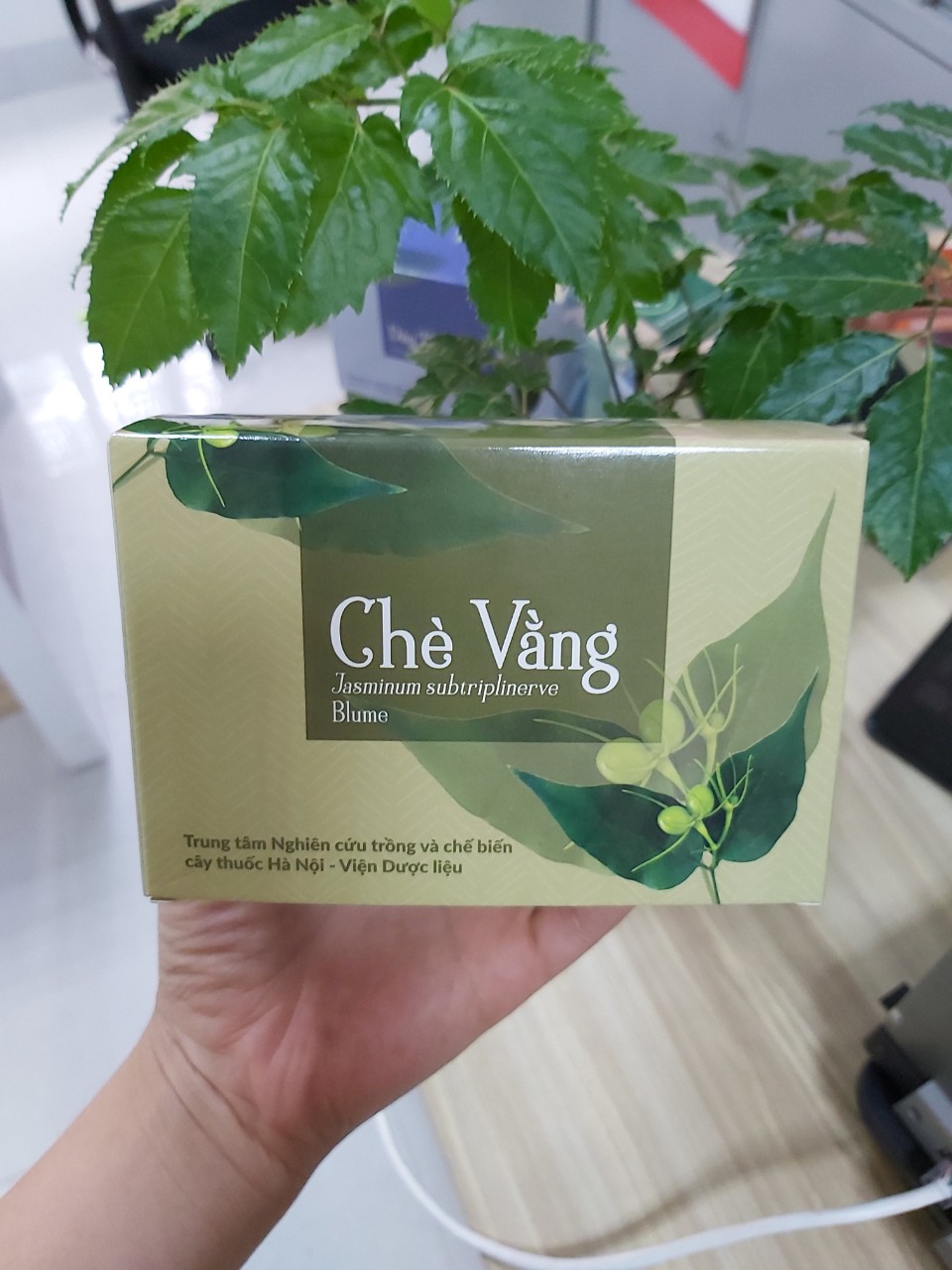 Trà túi lọc chè vằng