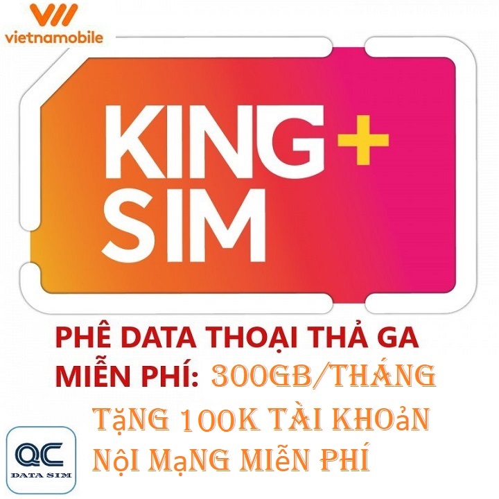 FREESHIP - CHƯA KÍCH HOẠT  [HCM]Siêu thánh sim king-4G VNMB miễn phí max data 300GB