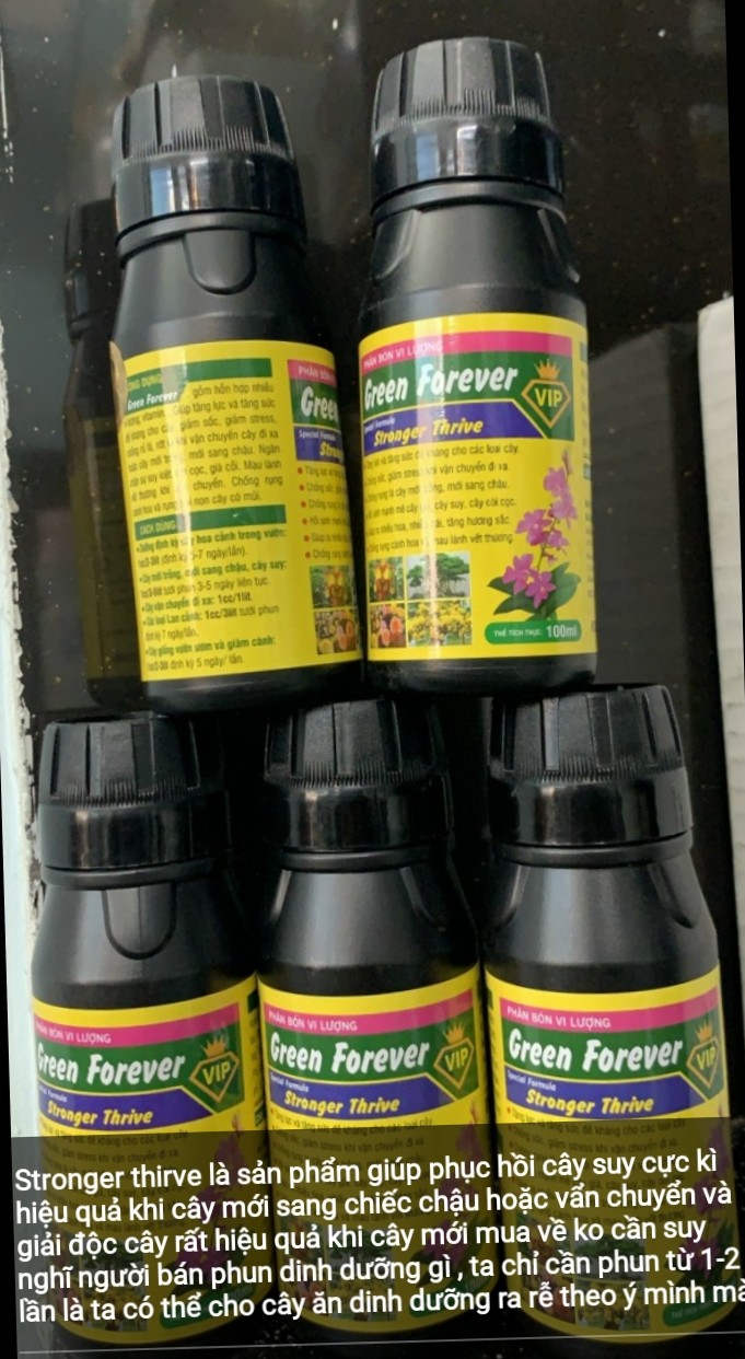 Phân bón vi lượng Green Forever  Stronger Thrive 100ml