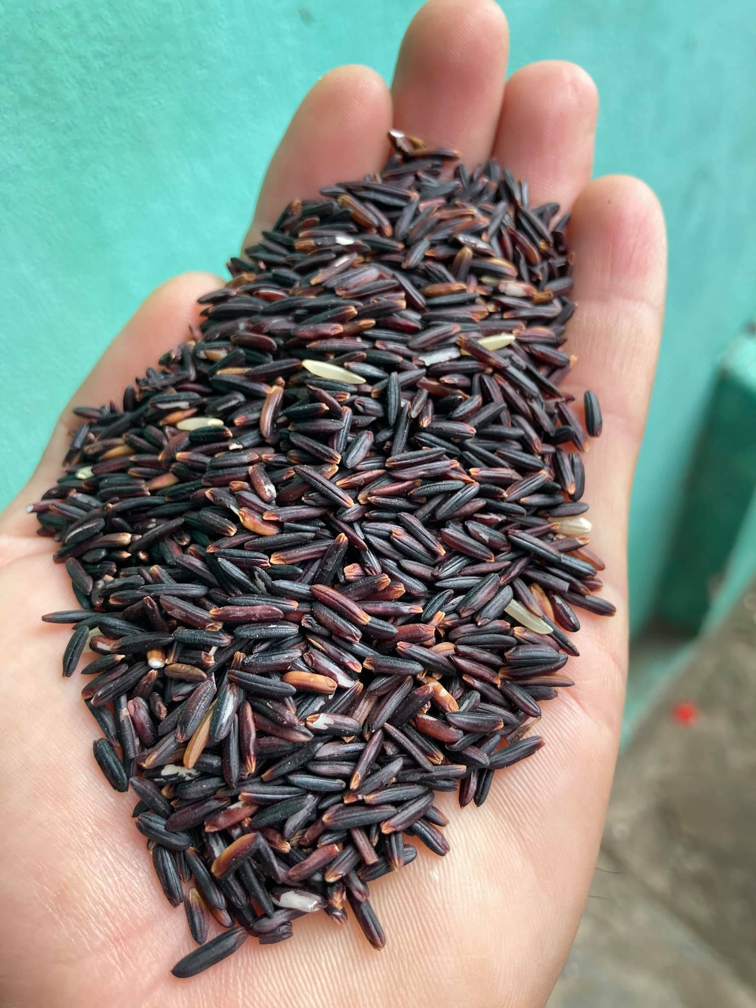 GẠO ÔNG CUA ST TÍM THAN_Túi 2kg
