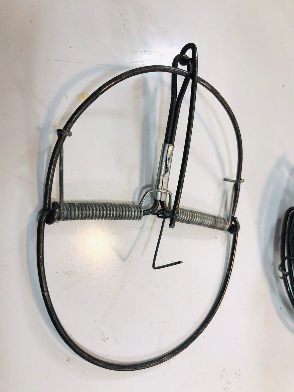 combo 20 bẫy chuột bán nguyệt