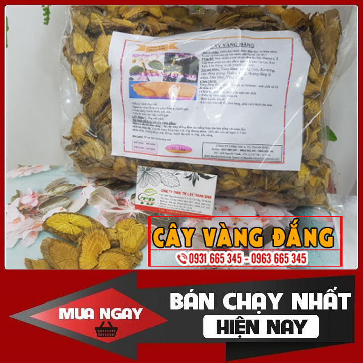 Cây vàng đắng khô 100g hàng cty loại 1 - đông y thanh bình
