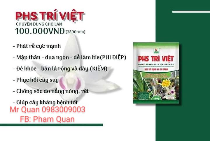 [HCM]Phân bón chuyên lan PHS Trí Việt