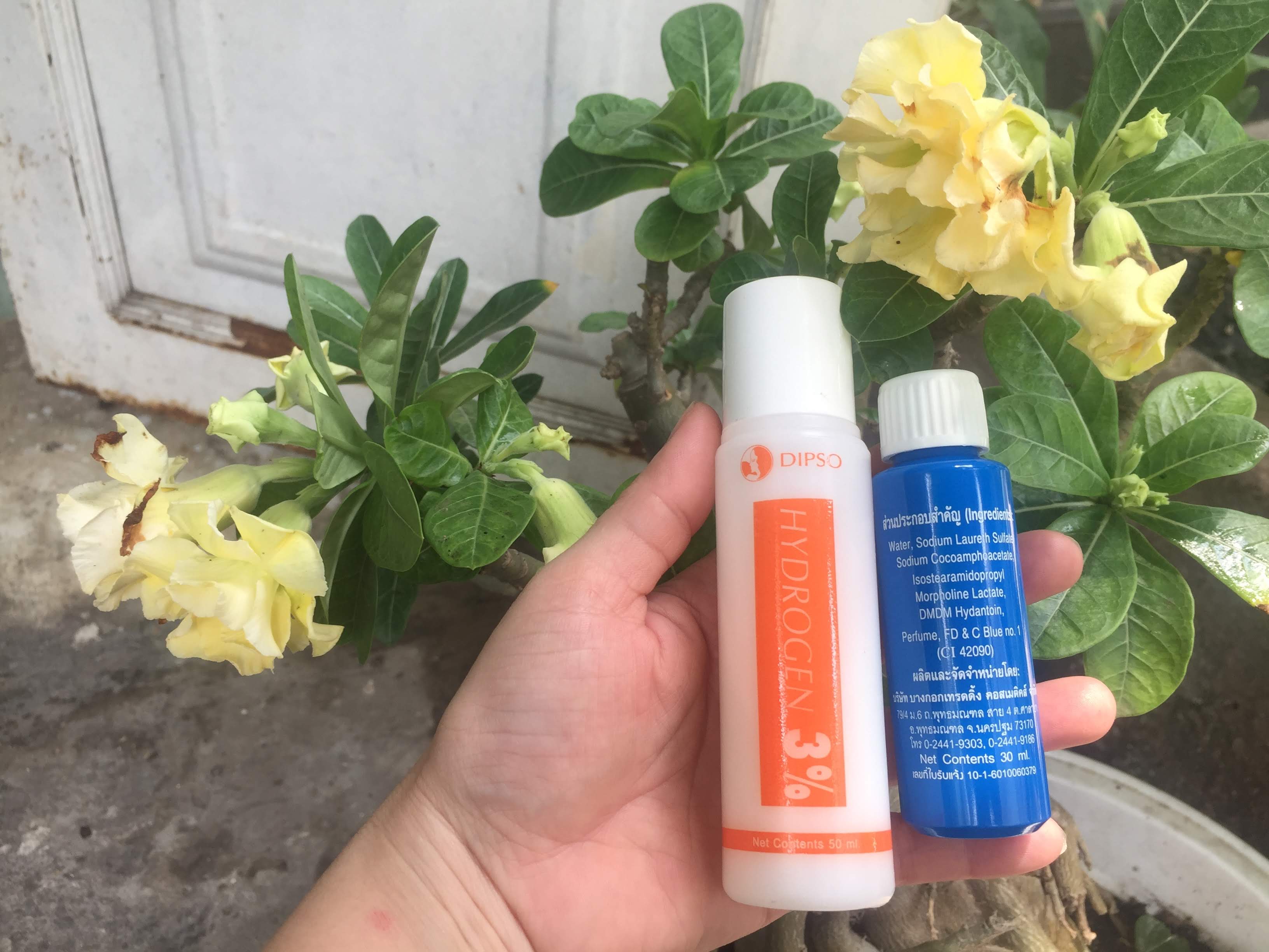 Sét tắm trắng da từ thiên nhiên DIPSO Thái Lan 90 ml