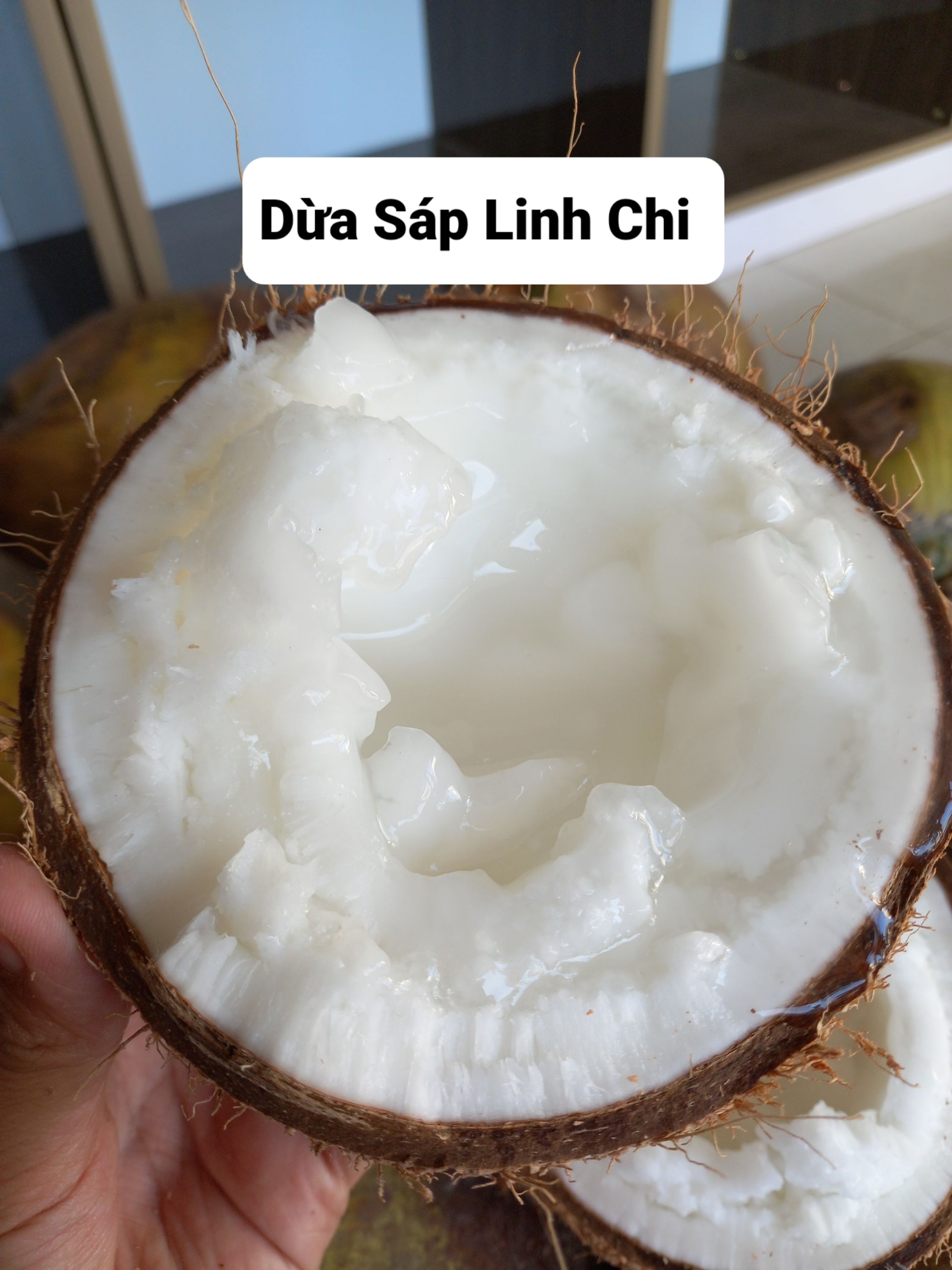 Dừa Sáp Đặc Biệt Trái 1.3kg