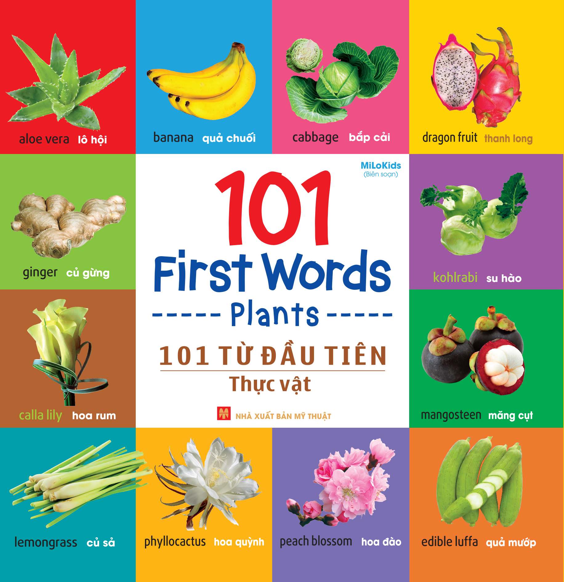 Sách: 101 First Words - Plants /101 Từ Đầu Tiên - Thực Vật ( TB )