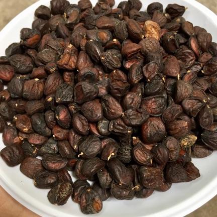 500g hạt dổi rừng