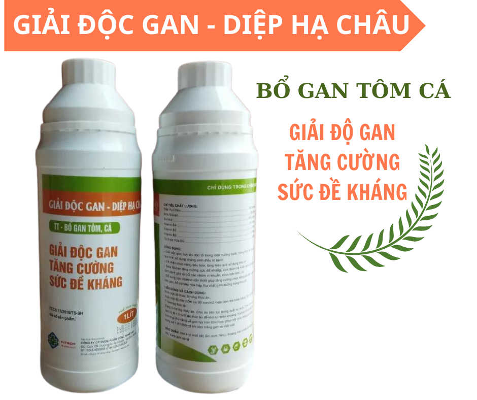 Detox product for shrimp, shrimp husbandry, shrimp liver, fish, aquatic breeding liver