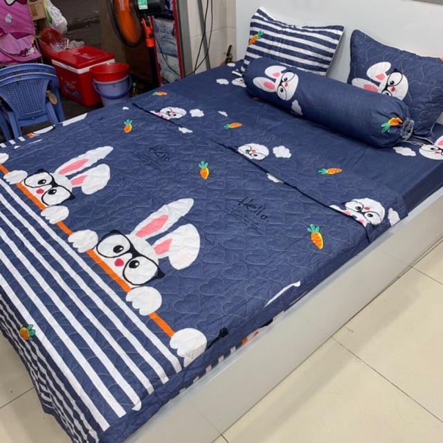 Chăn Hè Chần Bông Cotton Poly