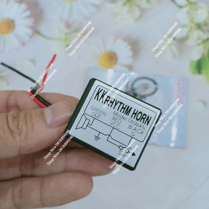 Chíp nhại còi xe máy giá 1 cái