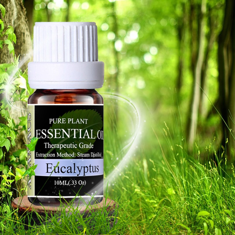 Pure eucalyptus essential oil antibacterial antiseptic. nun to chase against mosquito insects to prevent aramacs 10ml