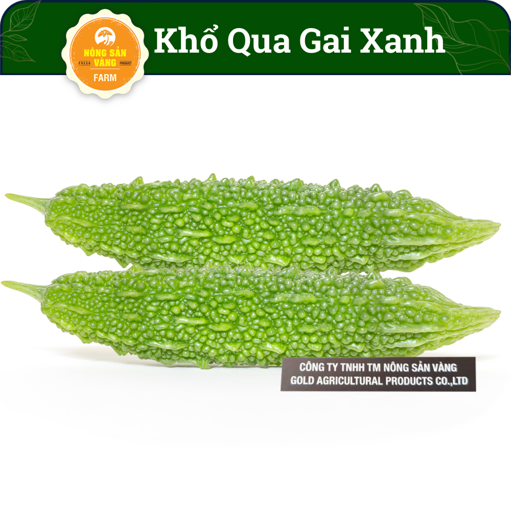 Bitter melon seeds through green hemp , bitter gourd green planter are all year round, high yield-shallow gold