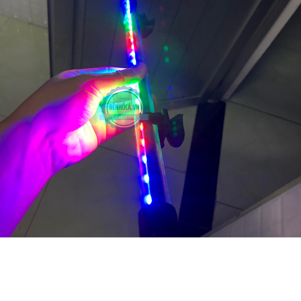 Đèn bể cá 3 MÀU LED dành cho hồ cá cảnh