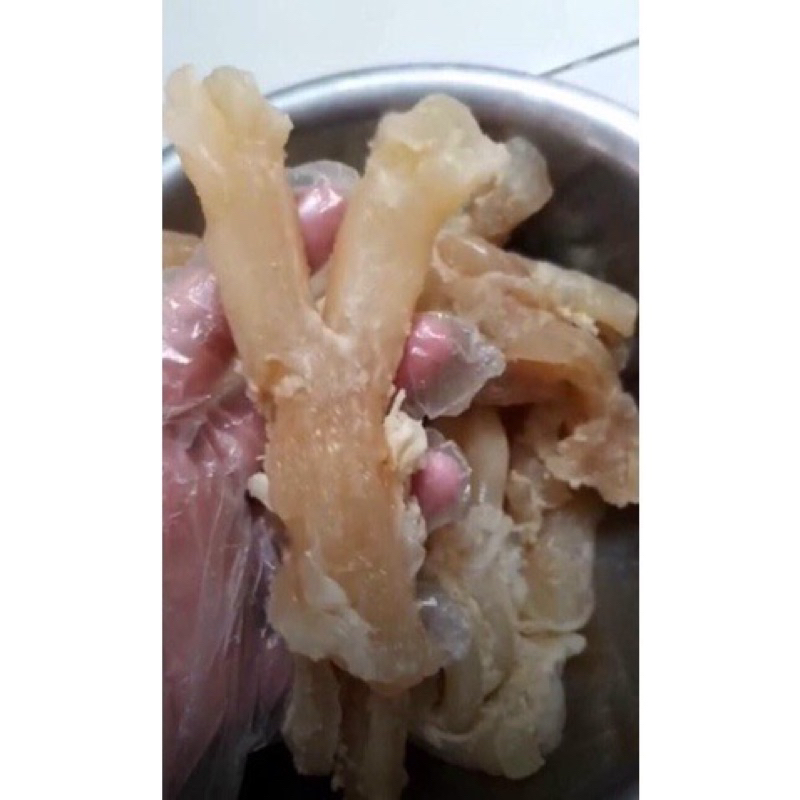 Gân y trâu sống bịch 800g (giao tphcm)
