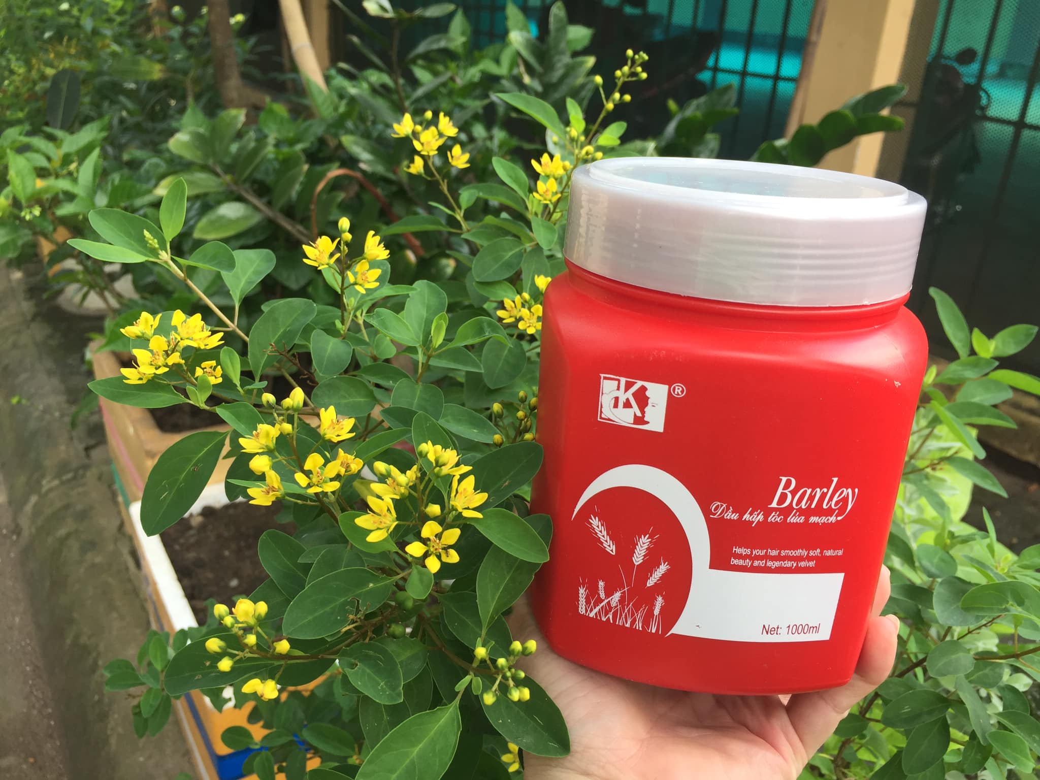 Dầu hấp Barley đỏ LK chiết xuất lúa mạch 1000ml