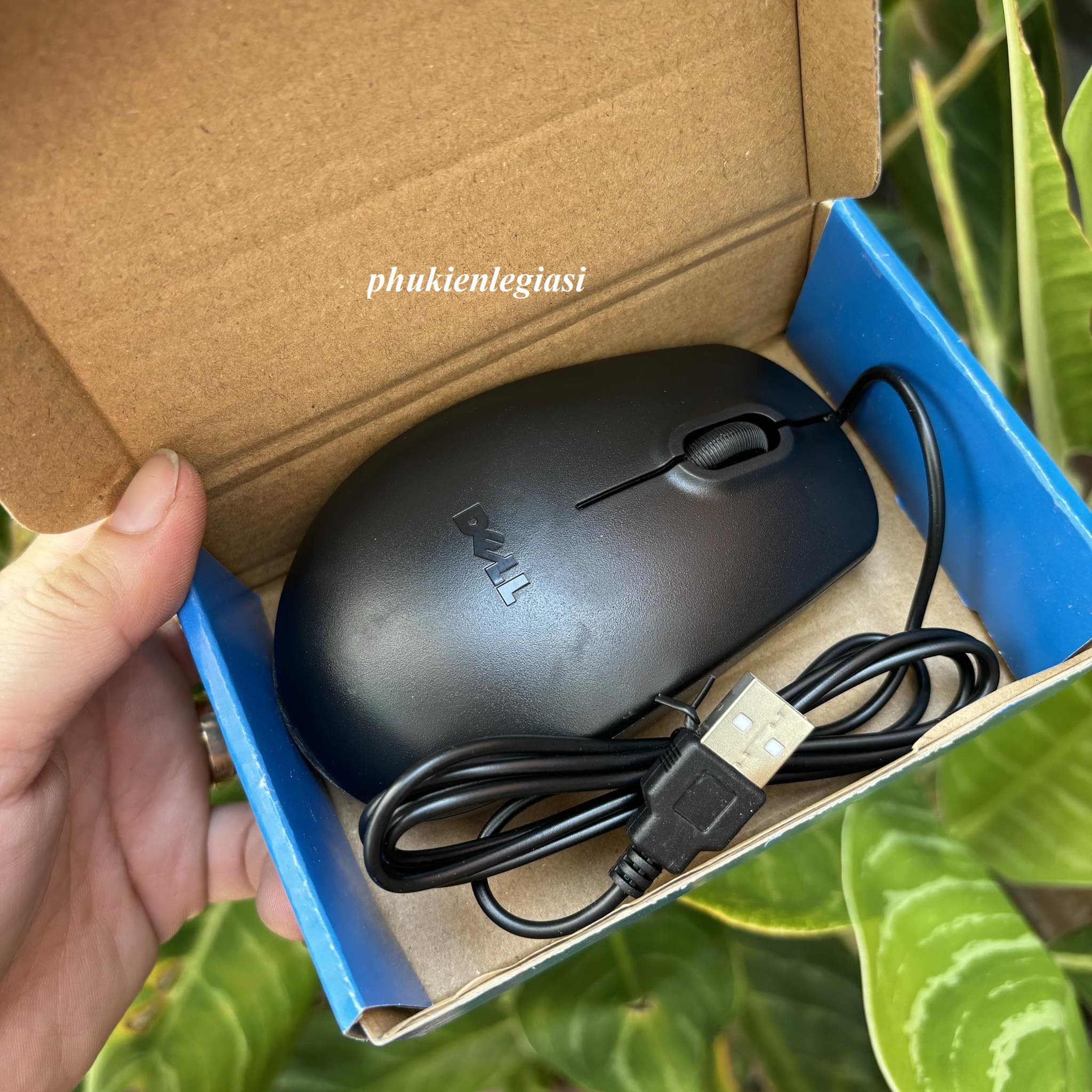 Chuột DELL MS111 Văn Phòng, Chơi Game