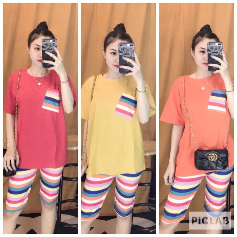 [HCM]SET BỘ COTTON CẦU VÒNG - TD40