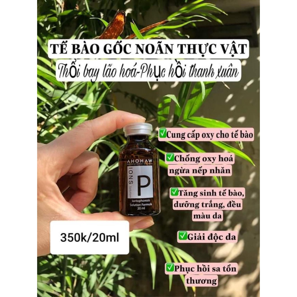 Tế bào gốc TRẺ HOÁ Ions P Ahohaw