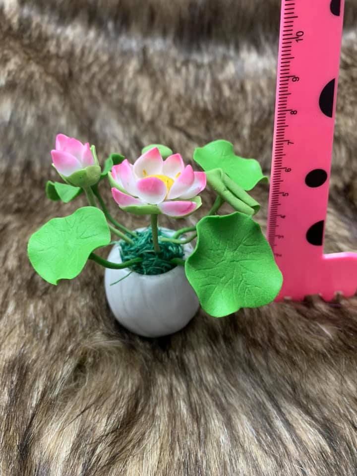 Chậu hoa đất sét mini