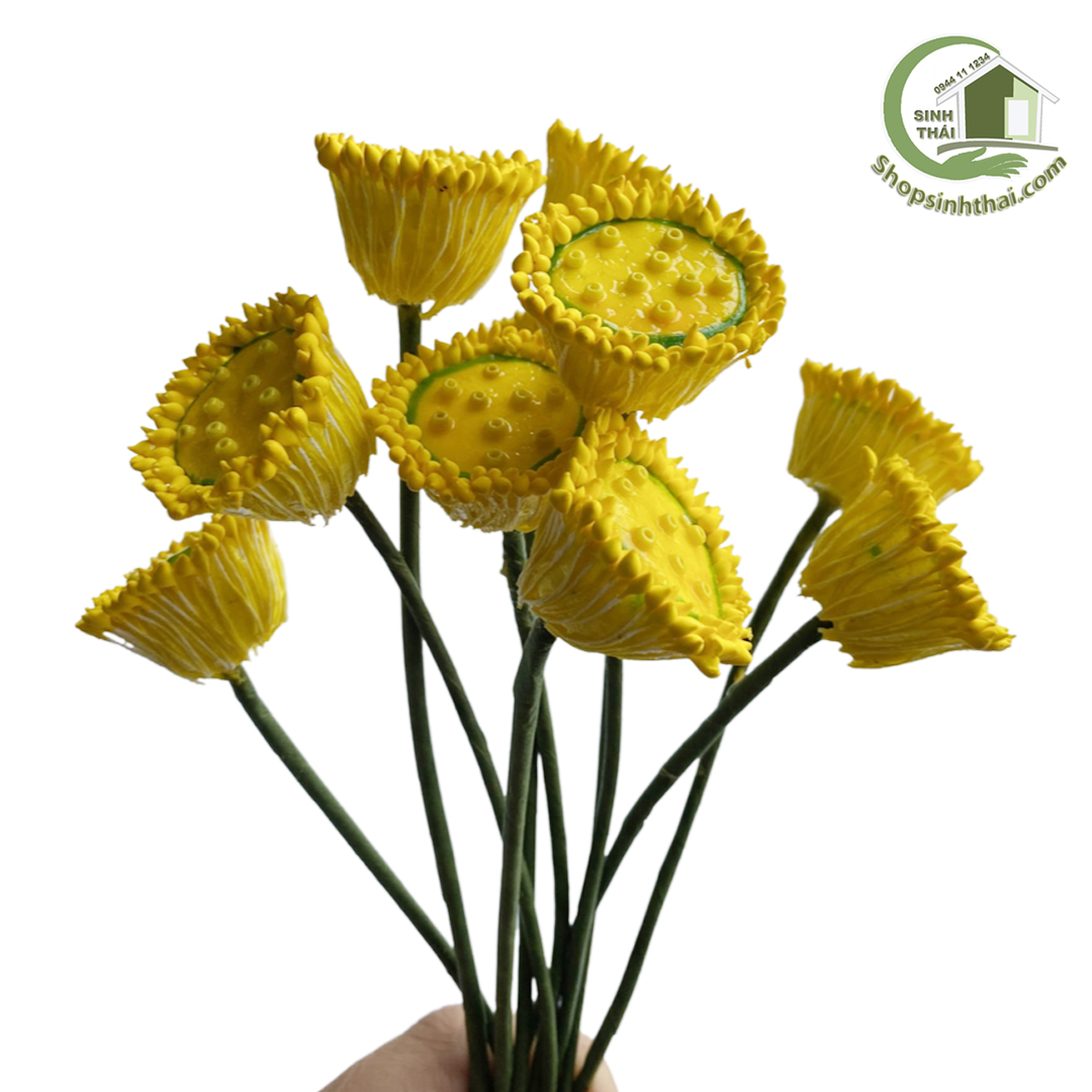 Gương sen, nhụy sen mini - Đài sen, nhị sen nhỏ - Chọn loại