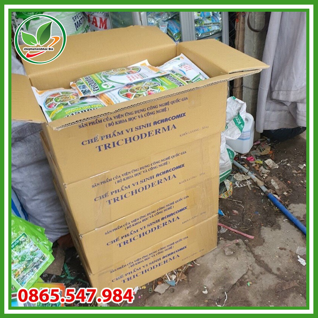 Nấm ủ Trichoderma dạng bào tử chịu nhiệt cao cấp. Túi 1kg
