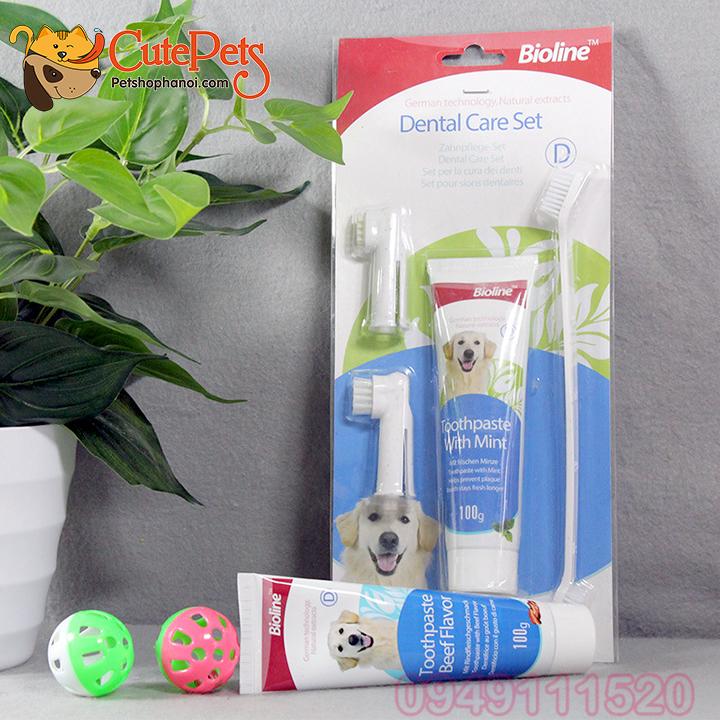 [HOÀN TIỀN 10%]Bộ Kem đánh răng cho chó Bioline 100g + Bàn chải - CutePets