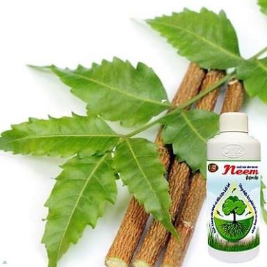 Chất bám dính sinh học Neem dạng đậm đặc DT02 500 ml