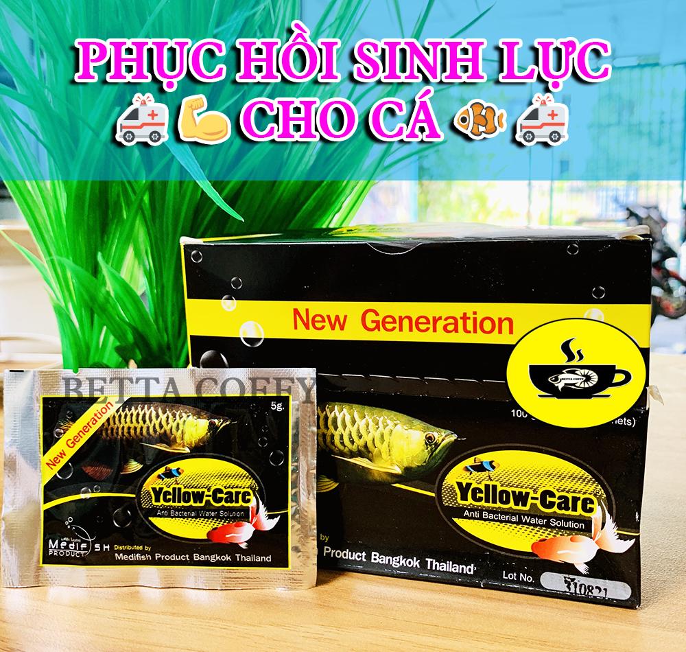 Yellow Care - Dưỡng Cá - Ship Cá - Phòng Bệnh