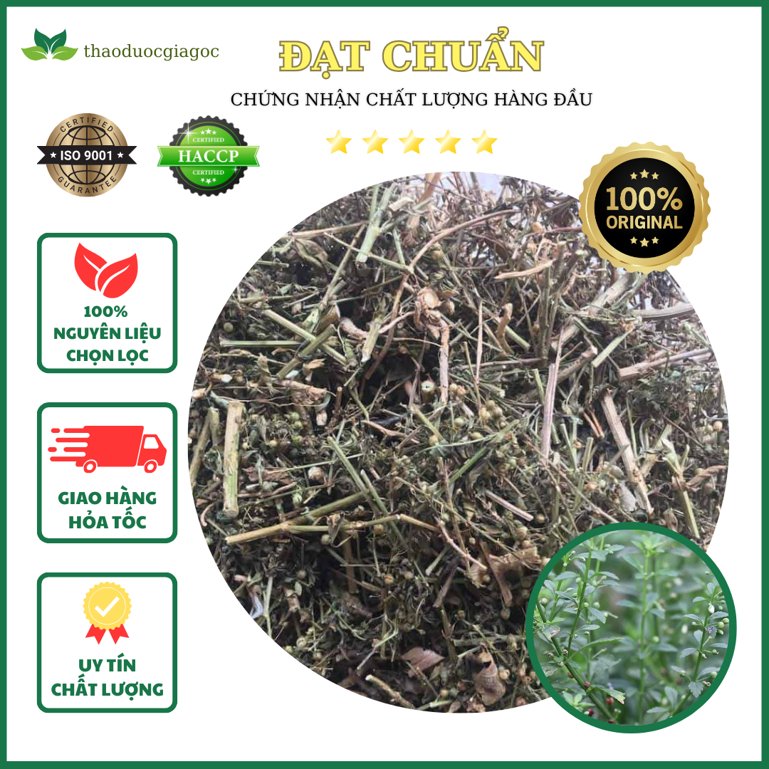 Cây cam thảo đất khô 1kg xanh thơm sạch.
