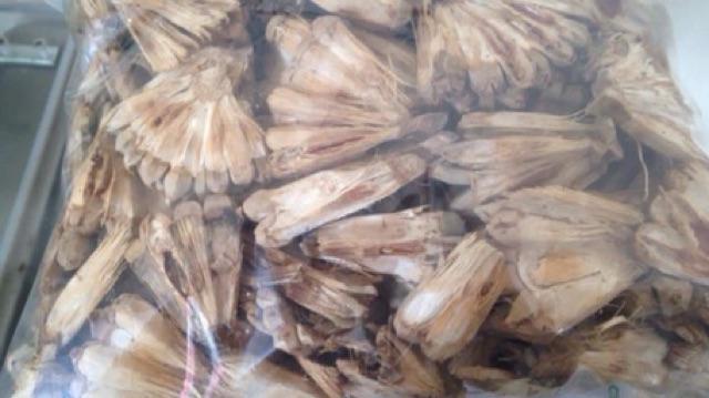 Quả dứa rừng sapa loại ngon 1 kg