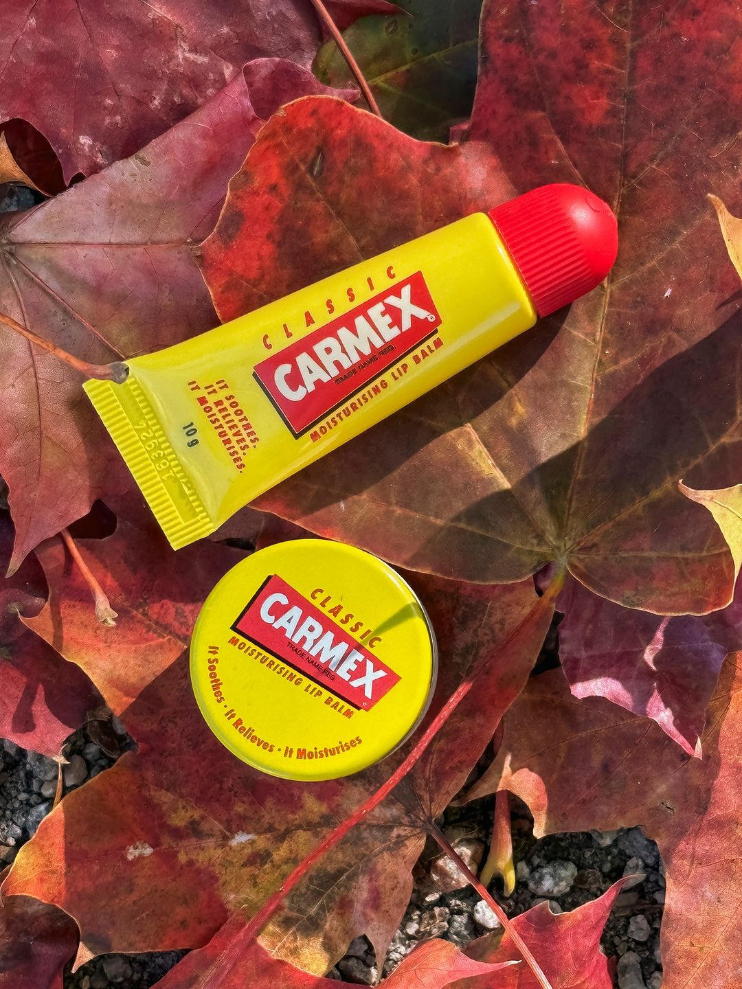 Son dưỡng ẩm Carmex Moisturising Lip Balm (Bill Anh)