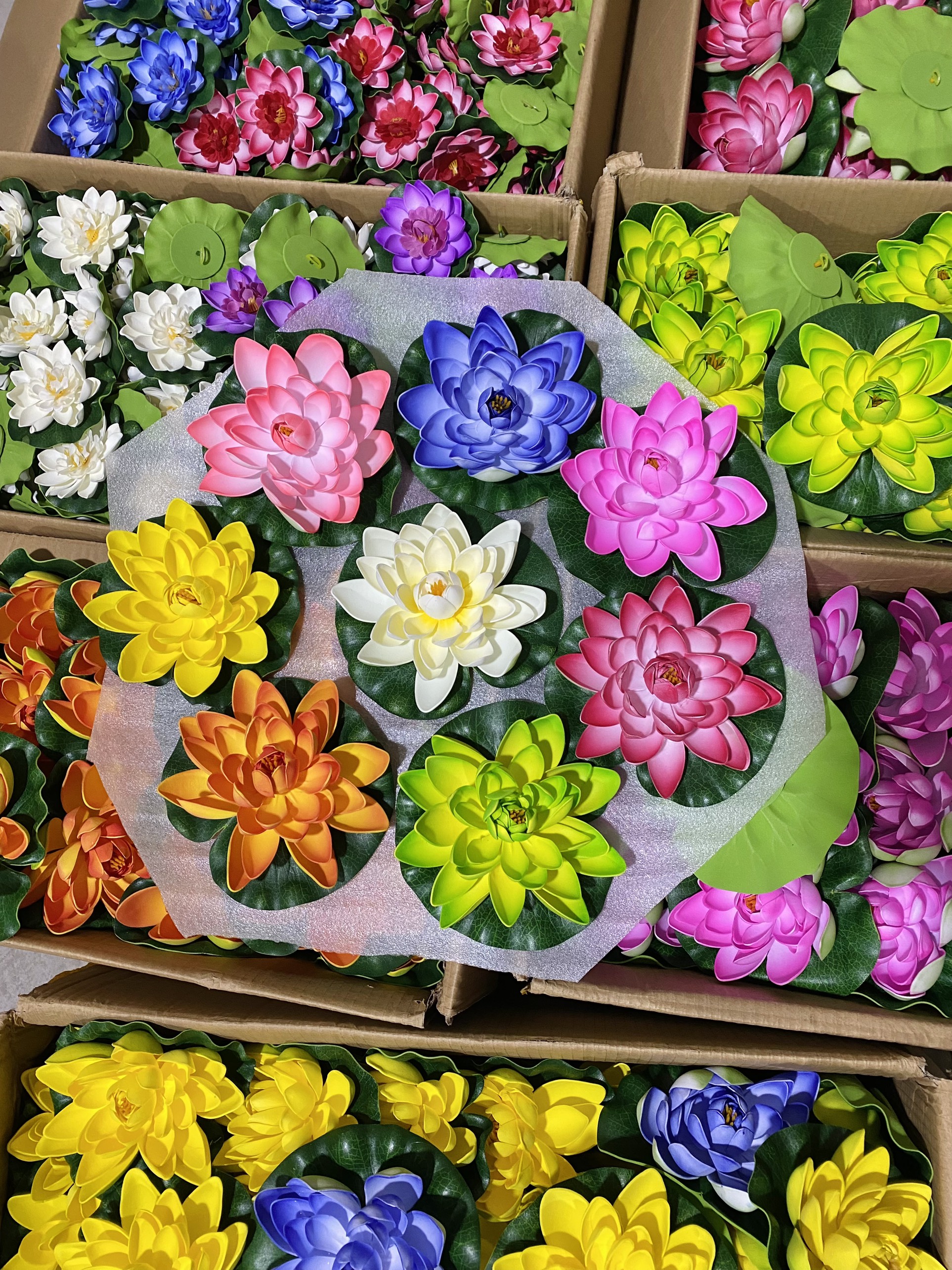 Hoa sen thả hồ