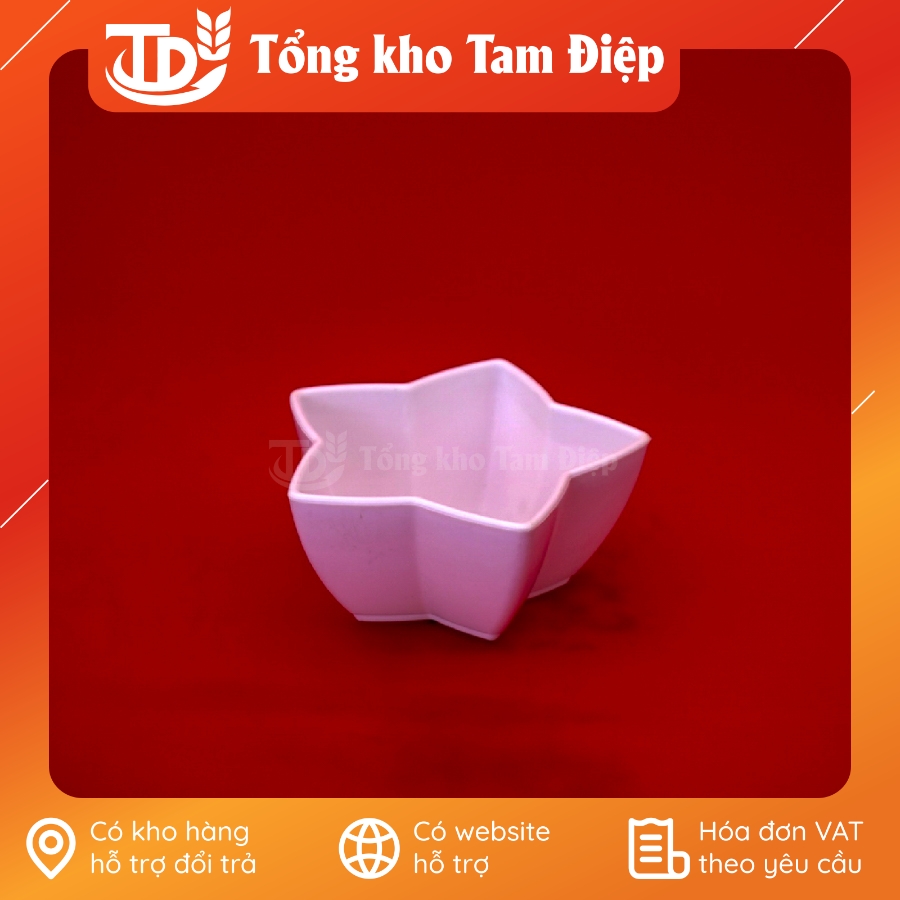 Chậu nhựa mini hình sao đủ màu