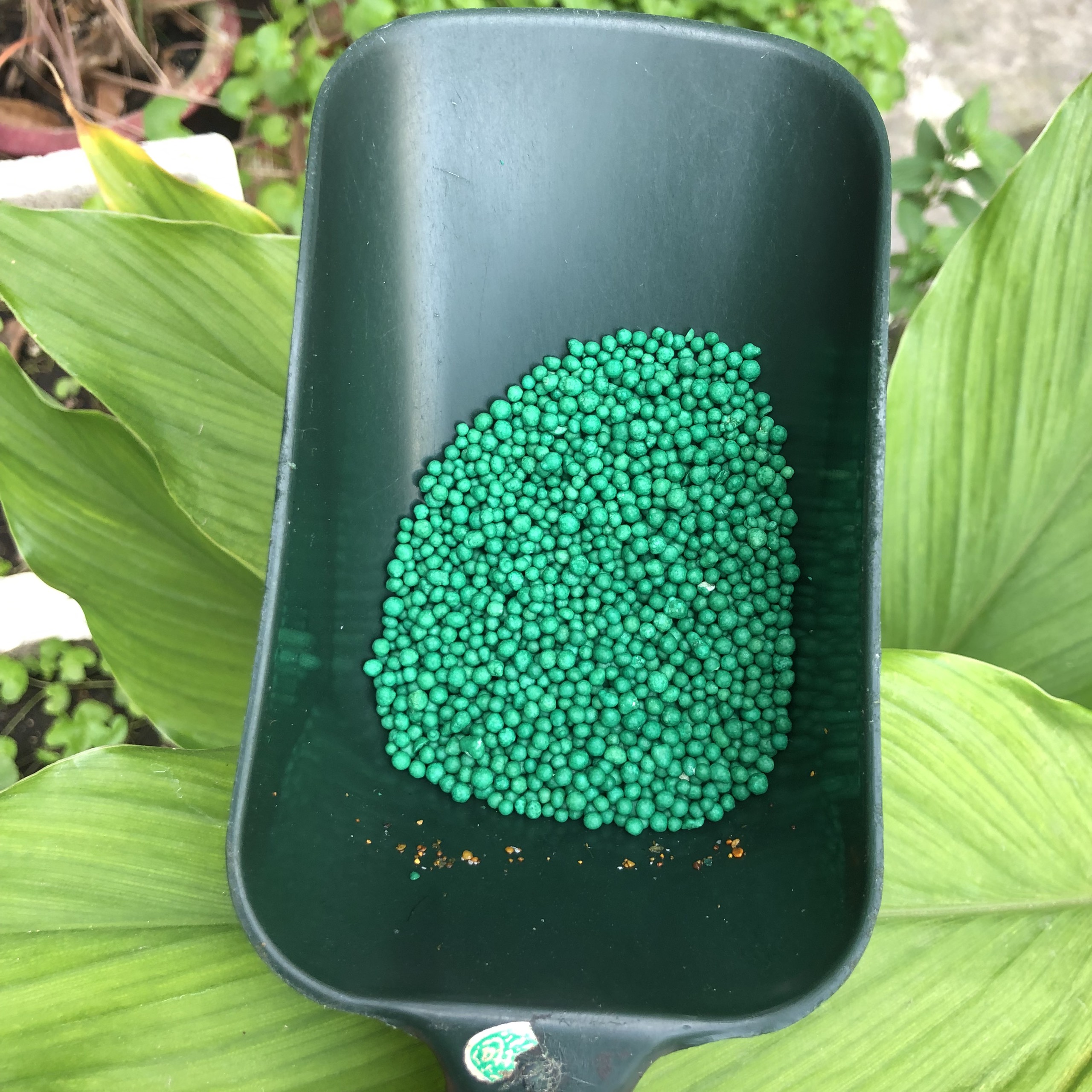 Phân tan Chậm Mỹ PoLyon hạt xanh - 16-6-12 (1kg)