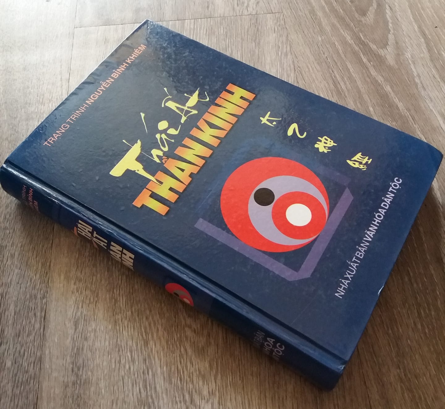 Thái ất thần kinh - vô thường