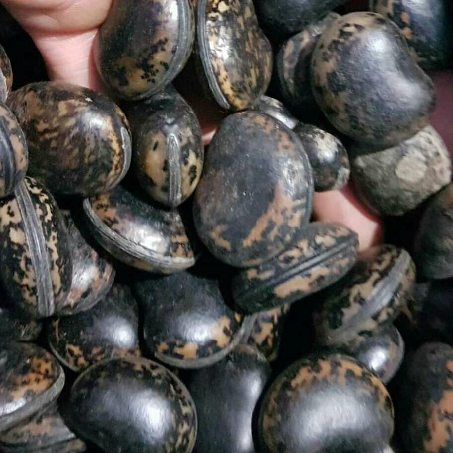 HẠT ĐẬU LÀO 500G