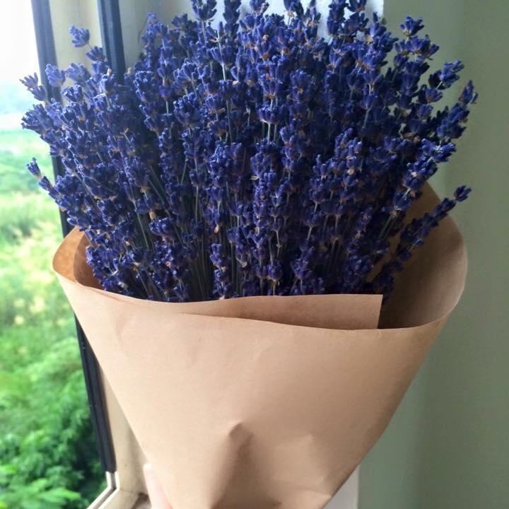 Hoa khô Lavender Pháp (hoa oải hương)