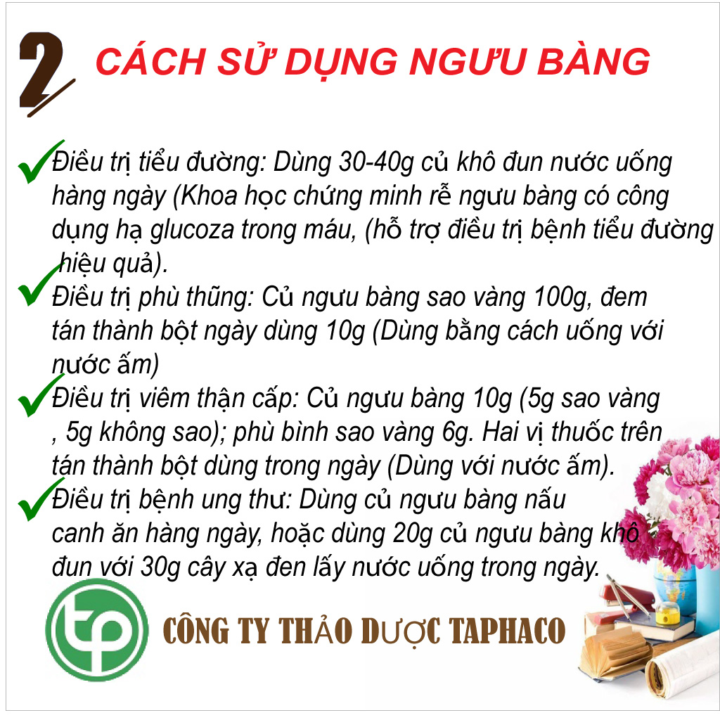 [Hàng mới về] Ngưu bàng khô 100g cao cấp - tấn phát