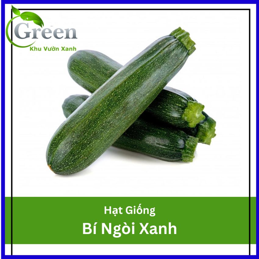 Hạt Giống Bí Ngòi Xanh Trái Dài Dễ Trồng, Chăm Sóc