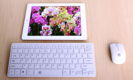 [HCM]COMBO PHÍM CHUỘT KO DÂY APPLE MINI