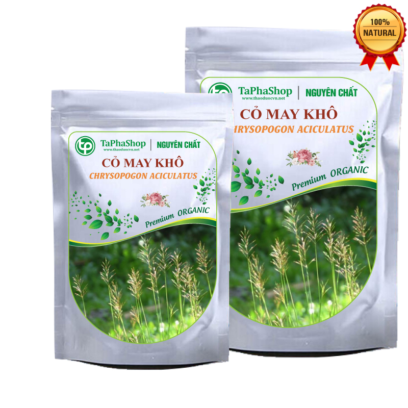 Cây cỏ may khô 500g - Thảo Dược Tấn Phát