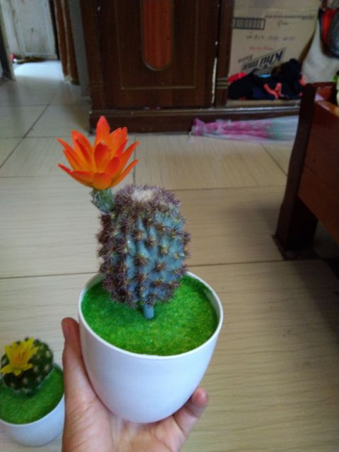Cây giả - chậu xương rồng mini