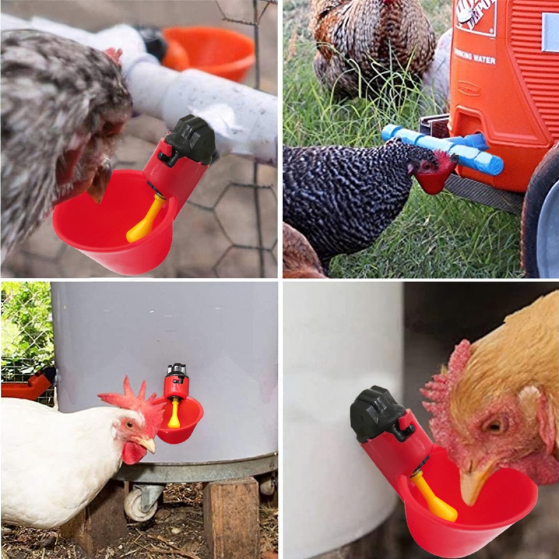 Máng Uống Tự Động Cho Gà-Vịt-Ngan Dạng Cốc-HASUE