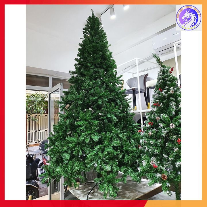 Cây thông noel 3m chân sắt xanh dày lá tặng kèm 1 ngôi sao đỉnh và 8 dây kim tuyến