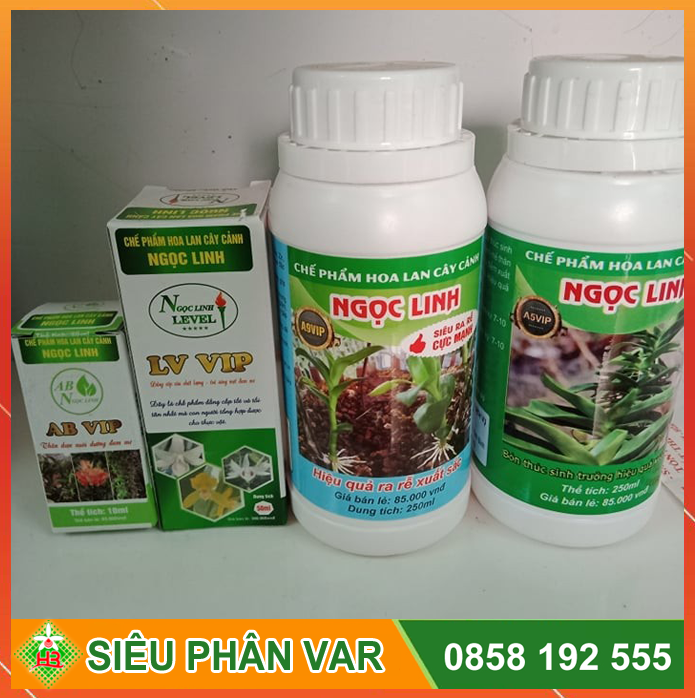 Bộ chăm var Chế Phẩm Ngọc Linh