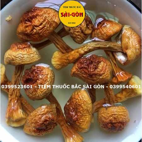 Nấm Tùng Nhung 100gram HÀNG TỰ NHIÊN (Nấm quý nấu canh dưỡng sinh, lẩu nấm, phục hồi sức khỏe)