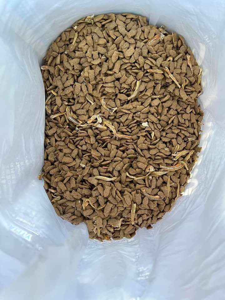 Thức ăn hạt cho mèo Snappy Tom mix cá cơm sấy - Túi 1.5kg