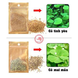 Hạt giống thủy sinh  cây thủy sinh  (bịch 10gr)