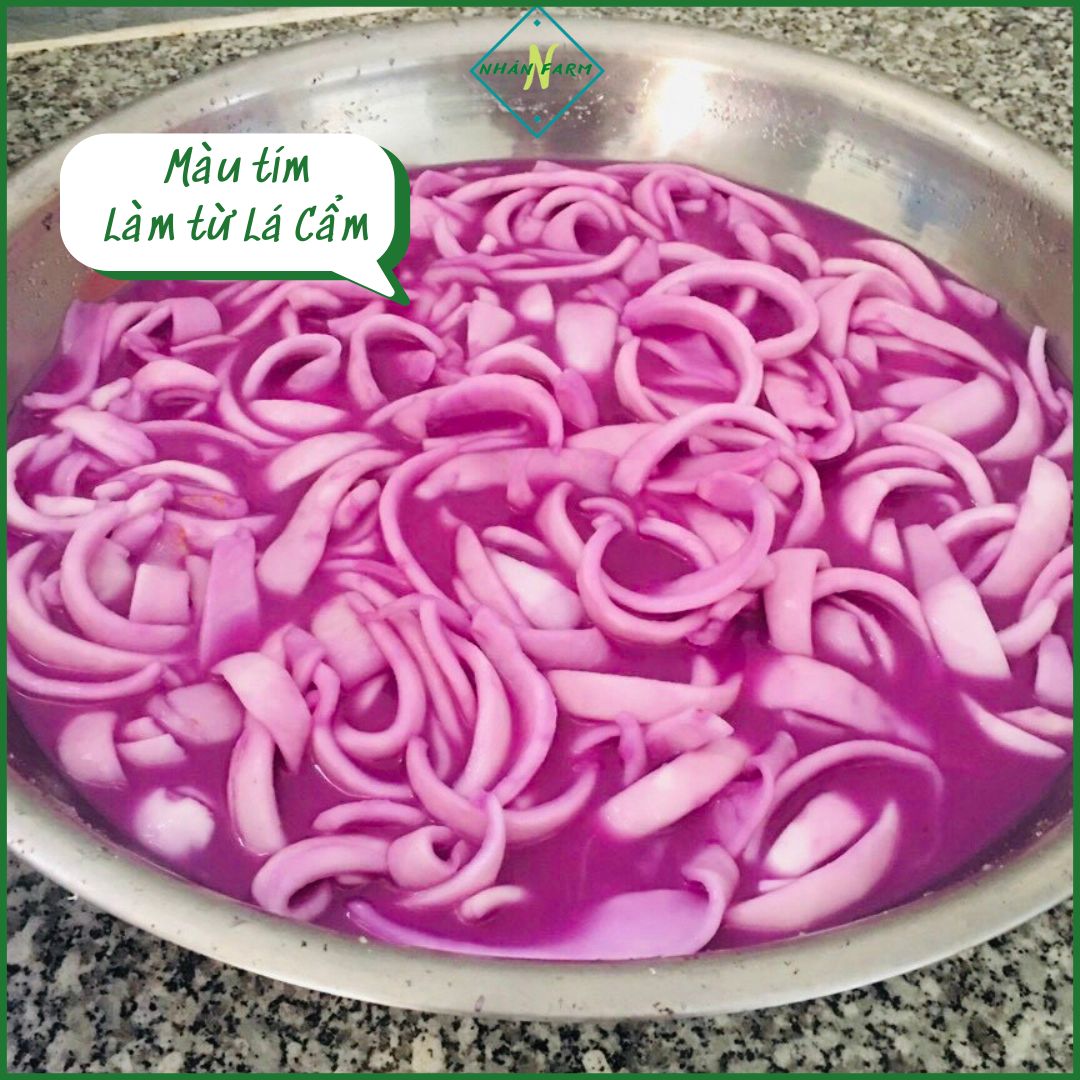 Mứt dừa non mềm dẻo nhà làm - Đặc sản Bến Tre